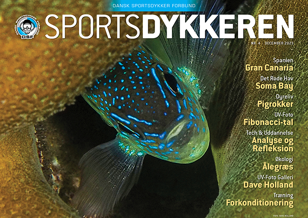 Sportsdykkeren forside foto af Dave Holland